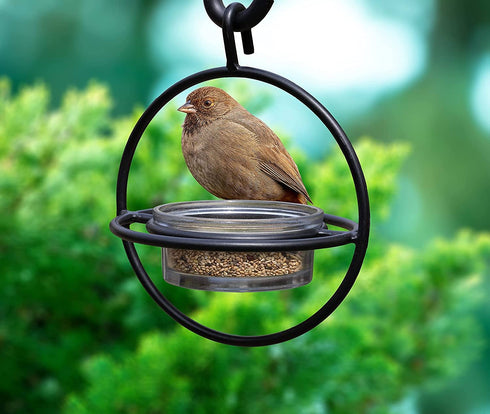 Zazu Black Steel Bird Feeder with Clear Bowl